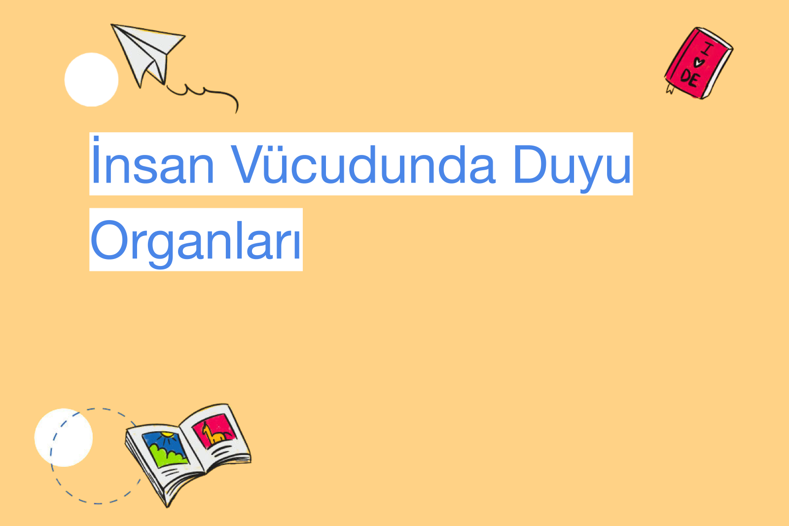 İnsan Vücudunda Duyu Organları