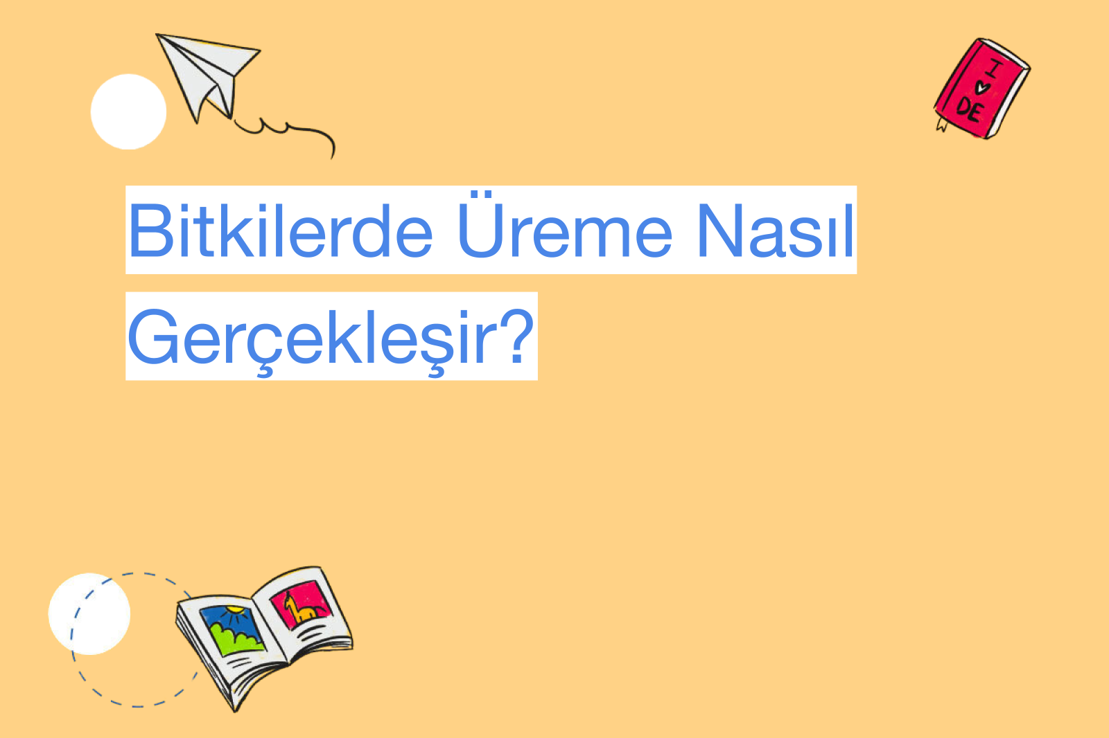 Bitkilerde Üreme Nasıl Gerçekleşir?