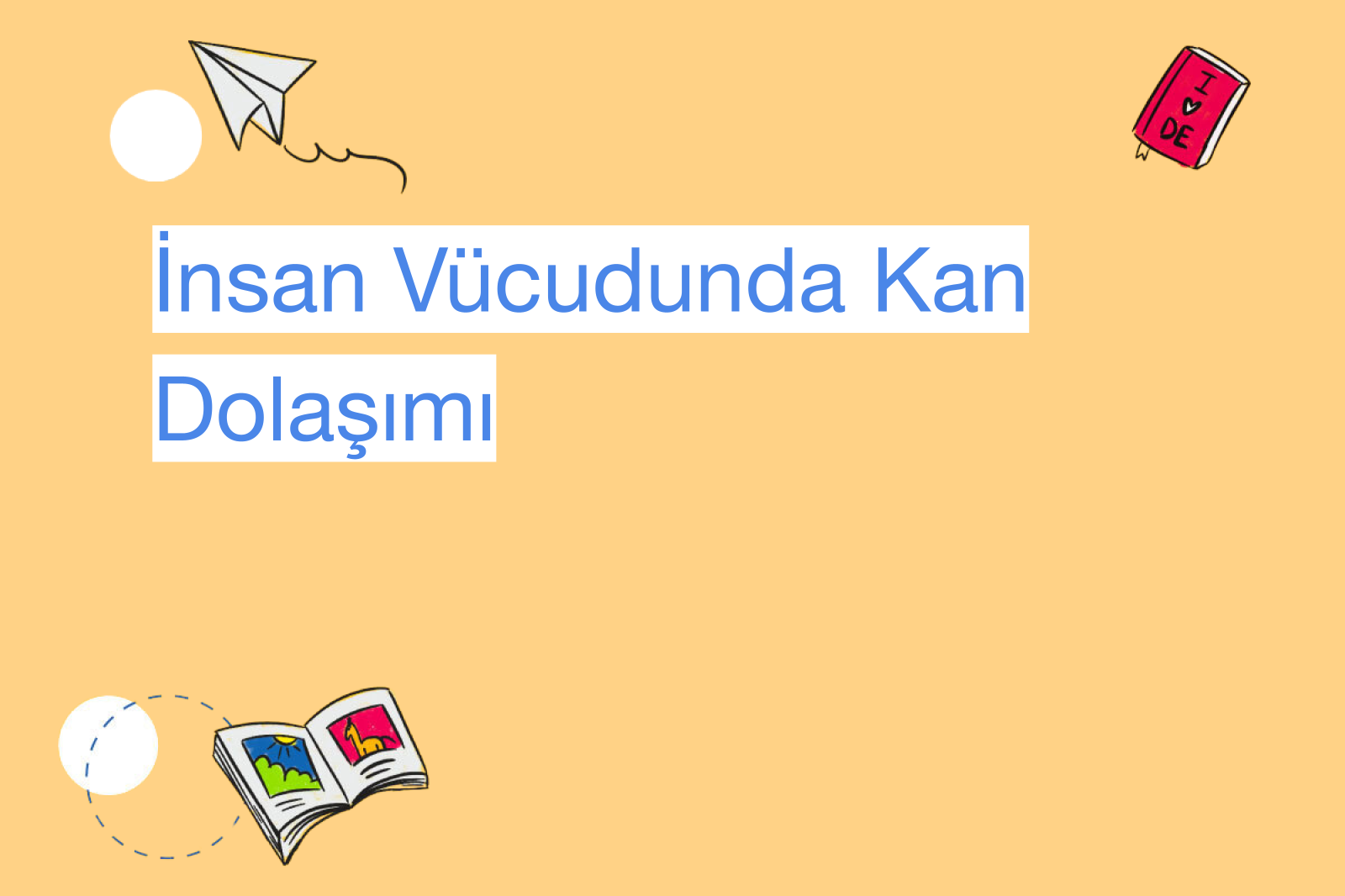 İnsan Vücudunda Kan Dolaşımı