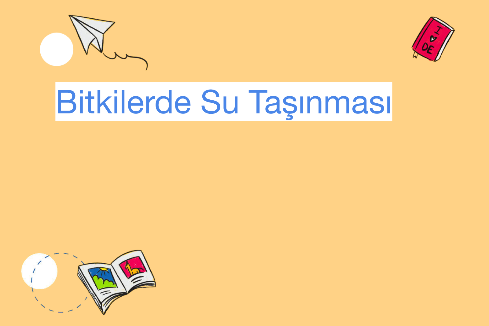 Bitkilerde Su Taşınması