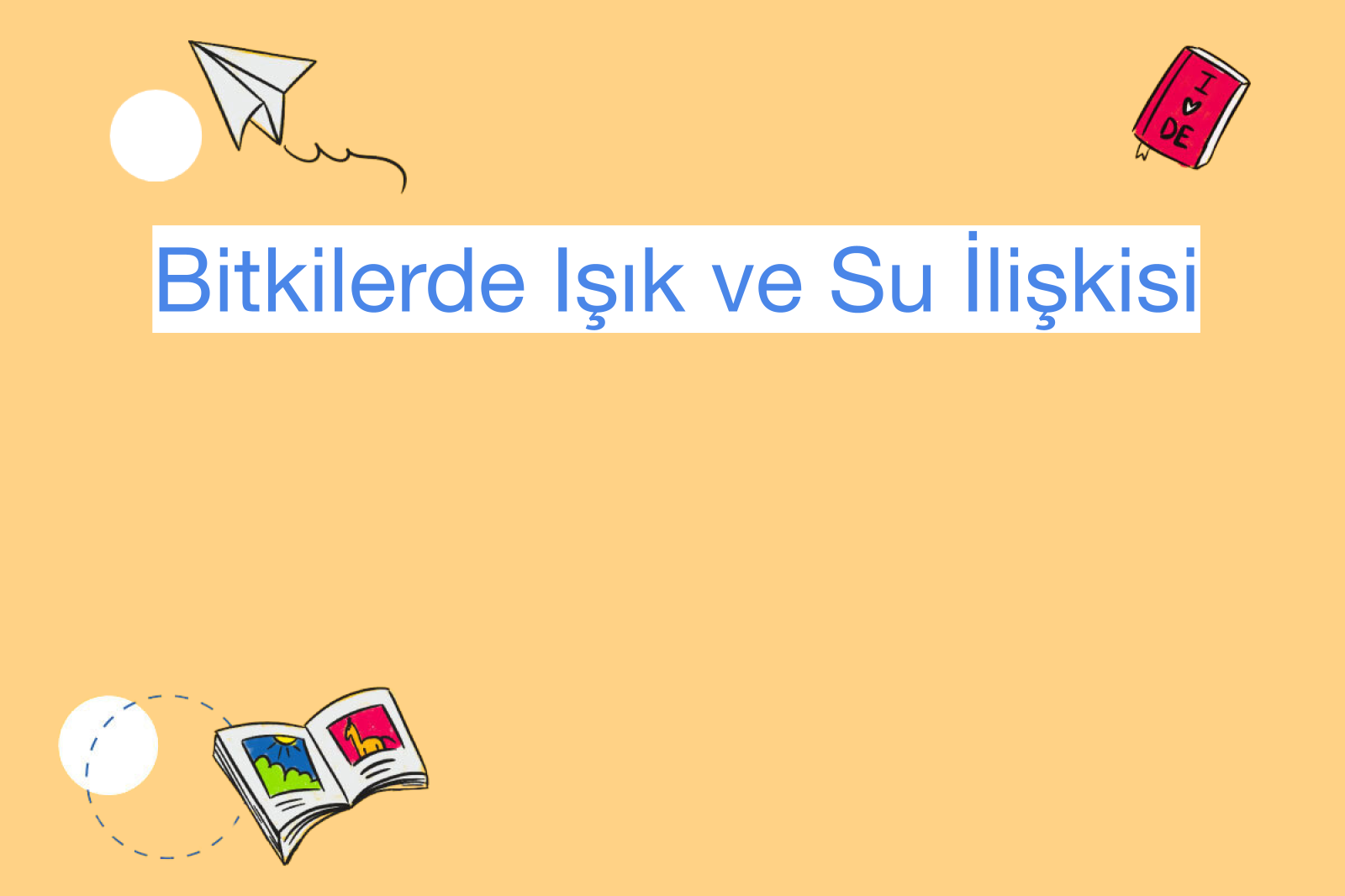 Bitkilerde Işık ve Su İlişkisi