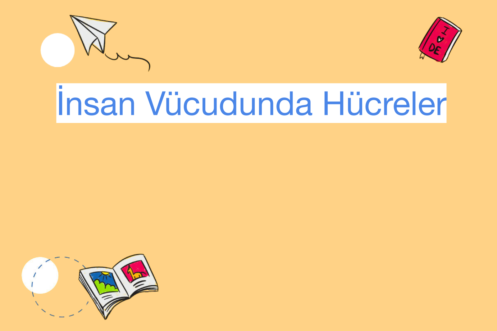 İnsan Vücudunda Hücreler