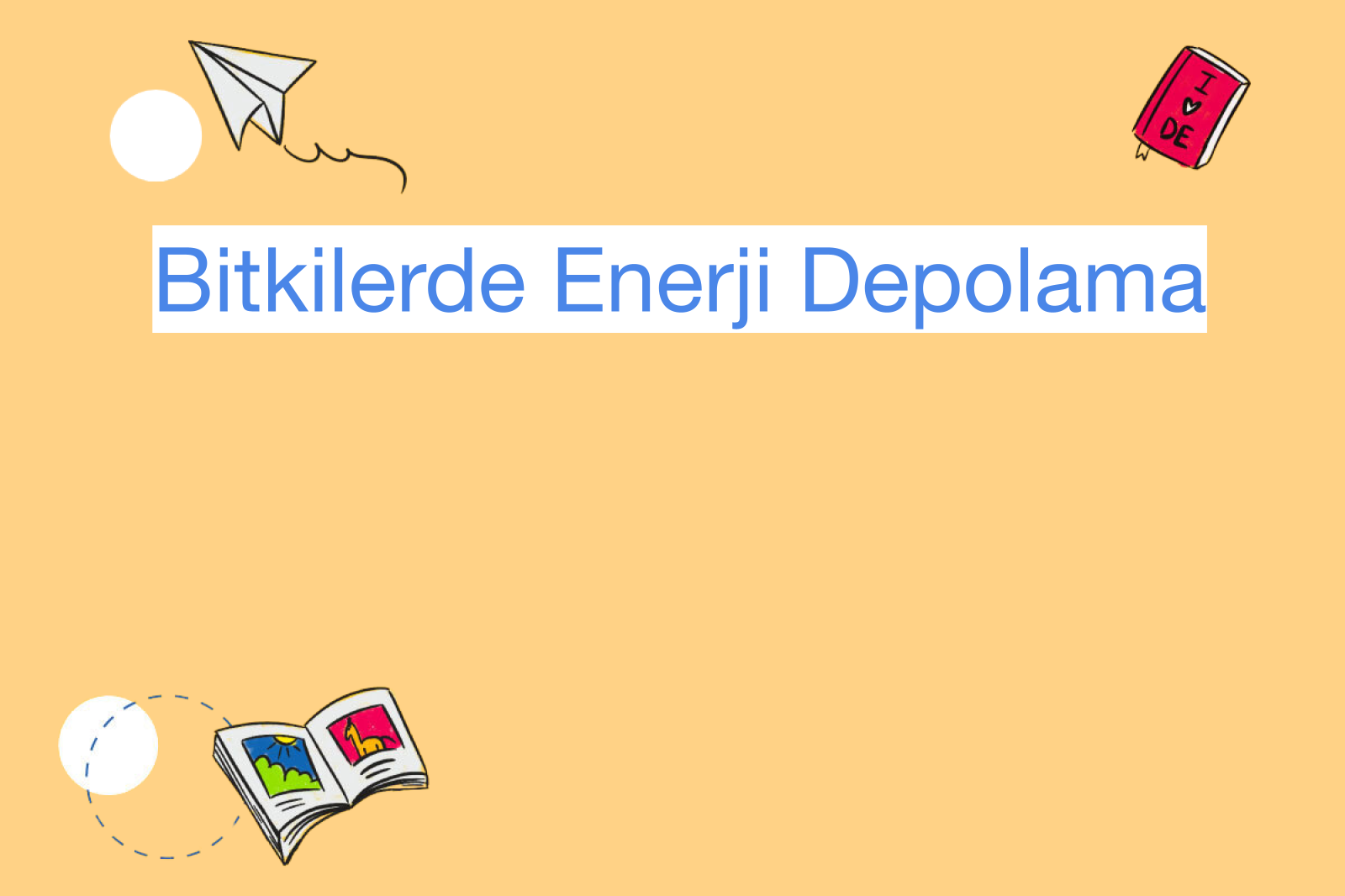 Bitkilerde Enerji Depolama