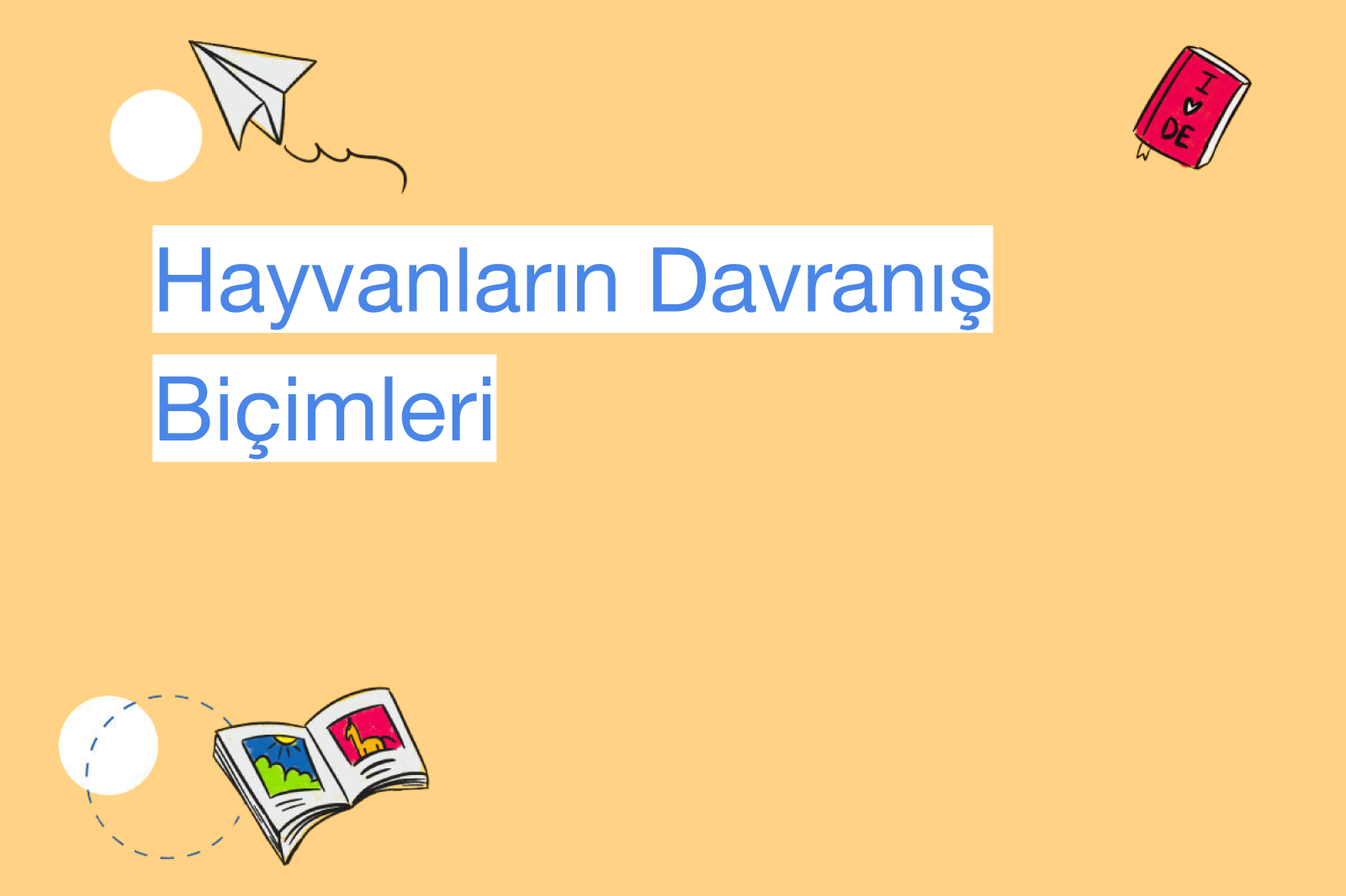 Hayvanların Davranış Biçimleri