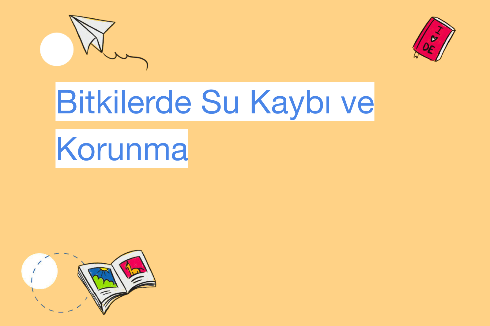 Bitkilerde Su Kaybı ve Korunma