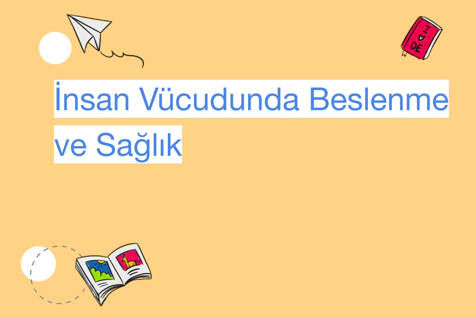 İnsan Vücudunda Beslenme ve Sağlık