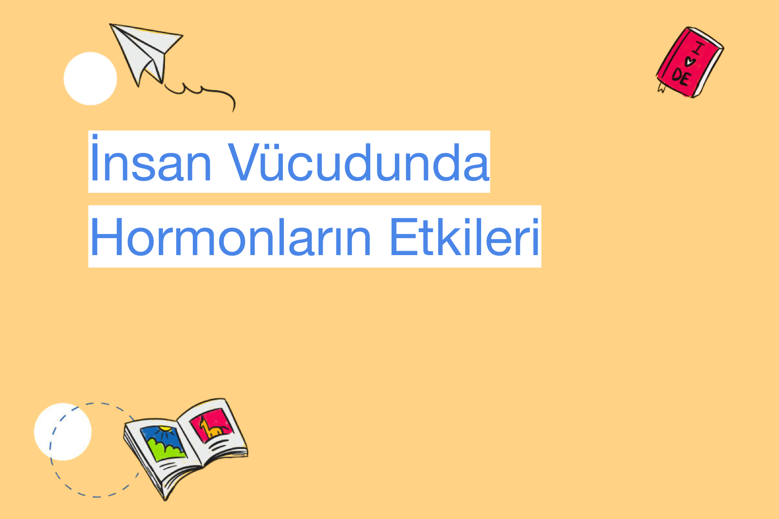 İnsan Vücudunda Hormonların Etkileri