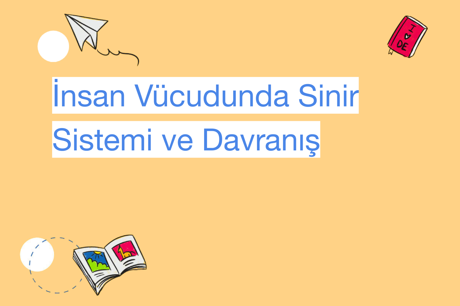 İnsan Vücudunda Sinir Sistemi ve Davranış