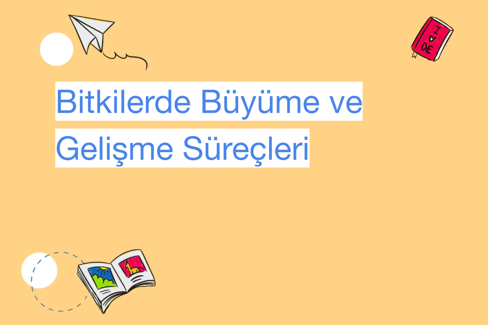 Bitkilerde Büyüme ve Gelişme Süreçleri