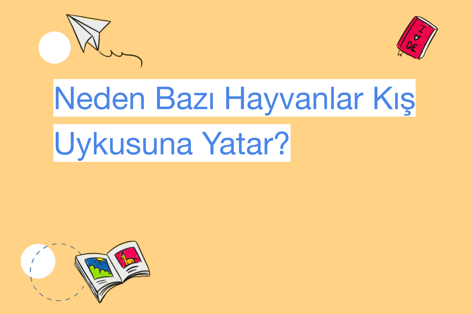 Neden Bazı Hayvanlar Kış Uykusuna Yatar?
