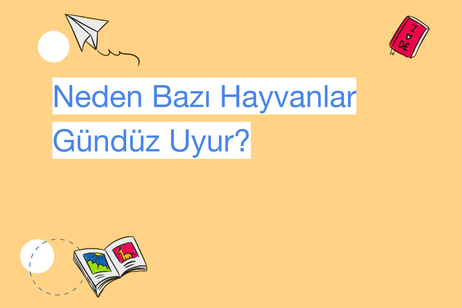 Neden Bazı Hayvanlar Gündüz Uyur?