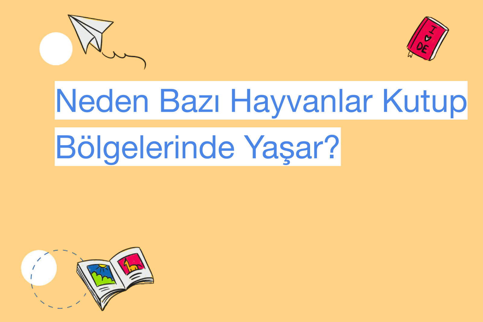 Neden Bazı Hayvanlar Kutup Bölgelerinde Yaşar?