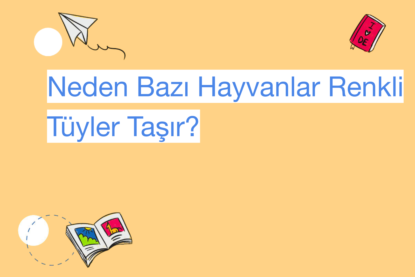 Neden Bazı Hayvanlar Renkli Tüyler Taşır?